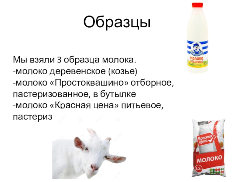 Реферат: Анализ продукта: цельное пастеризованное молоко, деревенское отборное