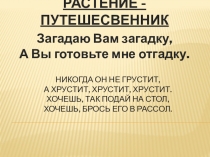 Презентация по окружающему миру