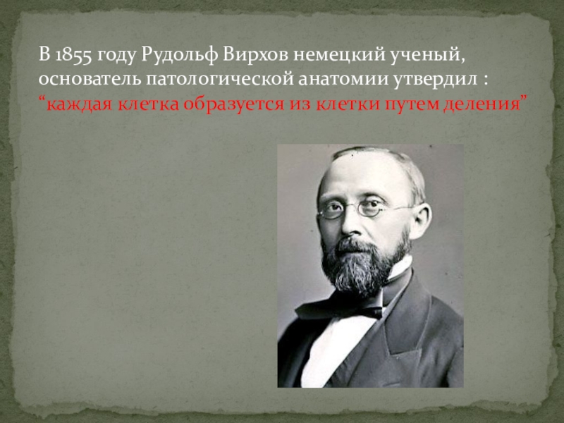 Ученые основатели анатомии. 1855 Вирхов. Основоположник патологической анатомии. Основоположник патологии.