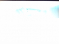 Путешествия