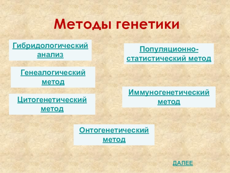 Иммуногенетический метод генетики презентация