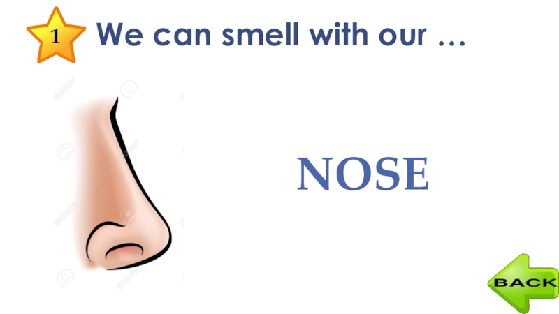 Слово нос глагол. We smell with our nose стихотворение. We smell with our nose. Smell how our nose work.