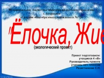 Презентация по экологии на тему Ёлочка,ЖИВИ! (1-4классы)