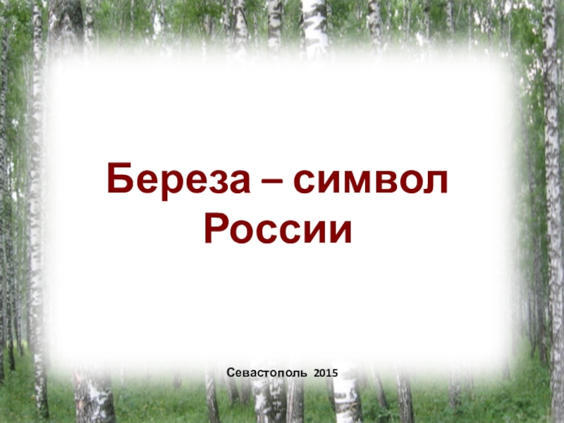 Презентация Береза – символ России