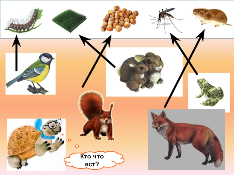 Презентация кто что ест 3 класс окружающий мир школа россии