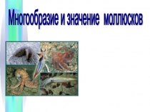 Презентация : Многообразие и значение моллюсков