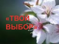 Презентация и конспект внеклассного мероприятия Выбор за тобой