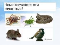 Презентация по биологии на тему: Организменная среда (5 класс) к учебнику Сухорукова Л.Н., и др.