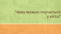 Презентация окружающий мир на тему Чему можно научиться у кошек