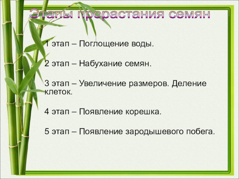 Проект по биологии 6 класс на тему рост и развитие растений