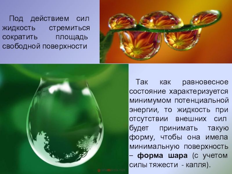 Вода имеет силу. Почему жидкость стремится принять форму шара. Форма жидкости. Почему капля в форме шара. Сферическая форма капли.