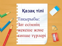 Зат есім жекеше және көпше түрі