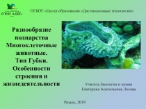 Презентация по биологии на тему Многоклеточные.Губки (7 класс)