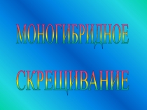 Презентация по биологии на темуМоногибридное скрещивание (9 класс)