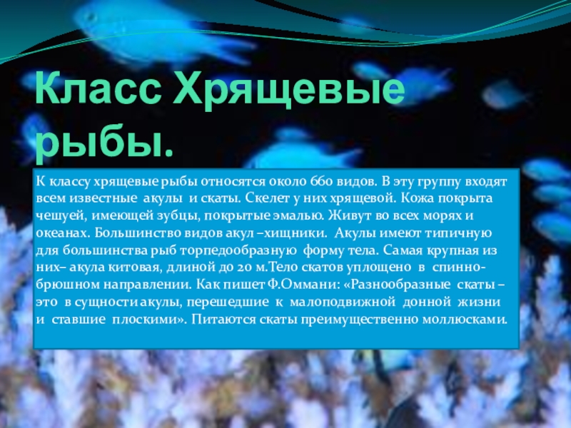 Основные систематические группы рыб 7 класс биология