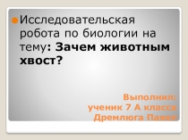 Типы хвостов