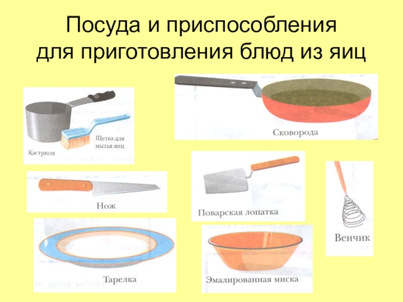 Проект по кулинарии 5 класс яичница