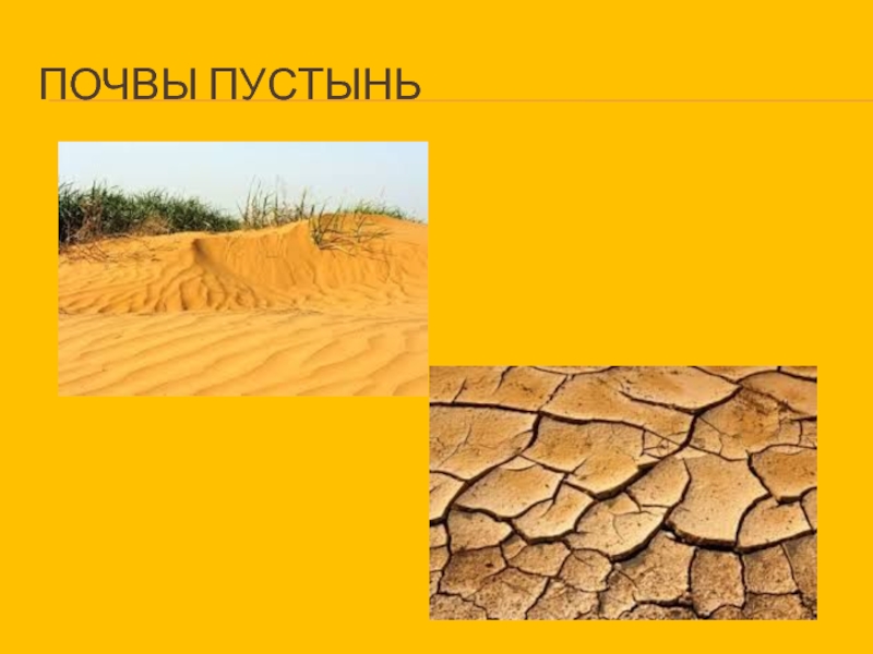 Особенности почв полупустынь. Полупустыни пустыни почва почва. Почвы пустынь и полупустынь в России. Почвы полупустыни и пустыни в России 8 класс. Почва в пустыне и полупустыне.