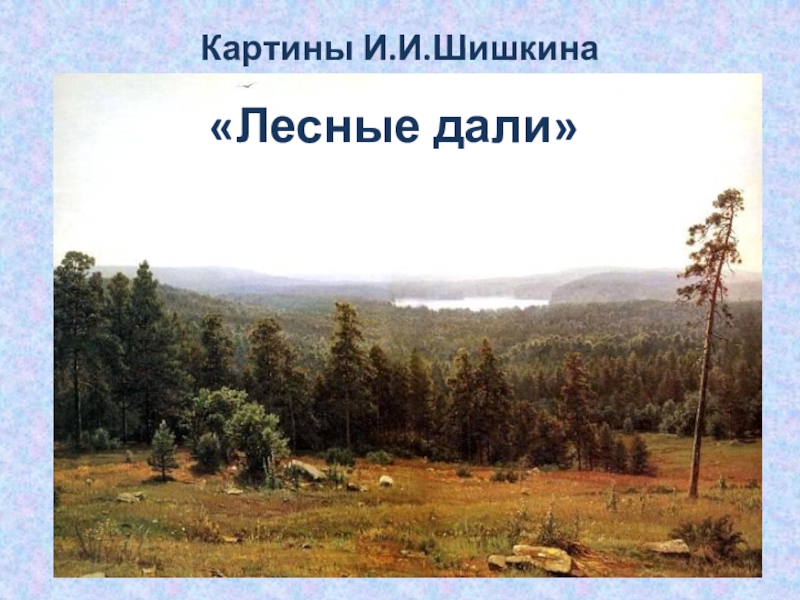 Лесные дали картина