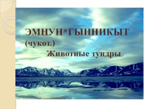 Презентация по окружающему миру на тему Эмнун'гынникыт(Животные тундры)