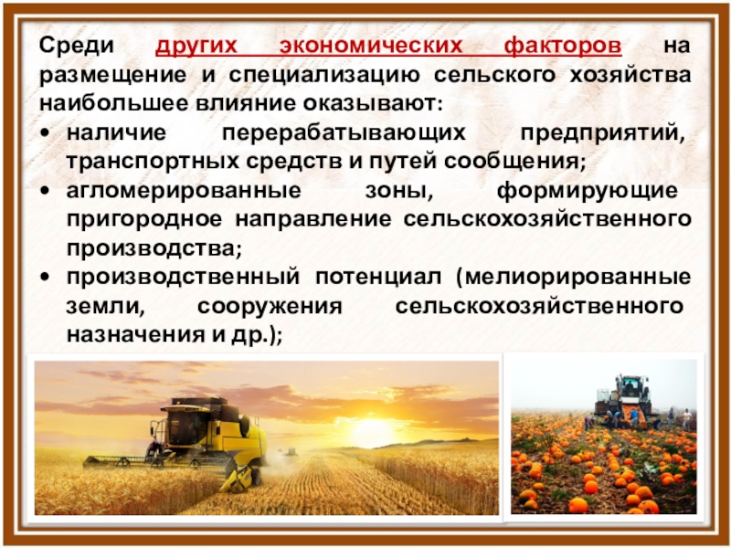 Специализация сельскохозяйственного производства. Специализация земледелия. Факторы специализации сельского хозяйства.