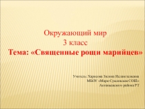 Презентация Священные рощи марийцев