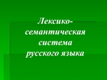 Презентация к уроку русского языка Омонимы и паронимы русского языка