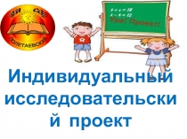 Презентация Индивидуальный исследовательский проект школьника