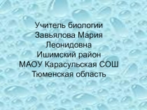Презентация докембрий 9-11 классы