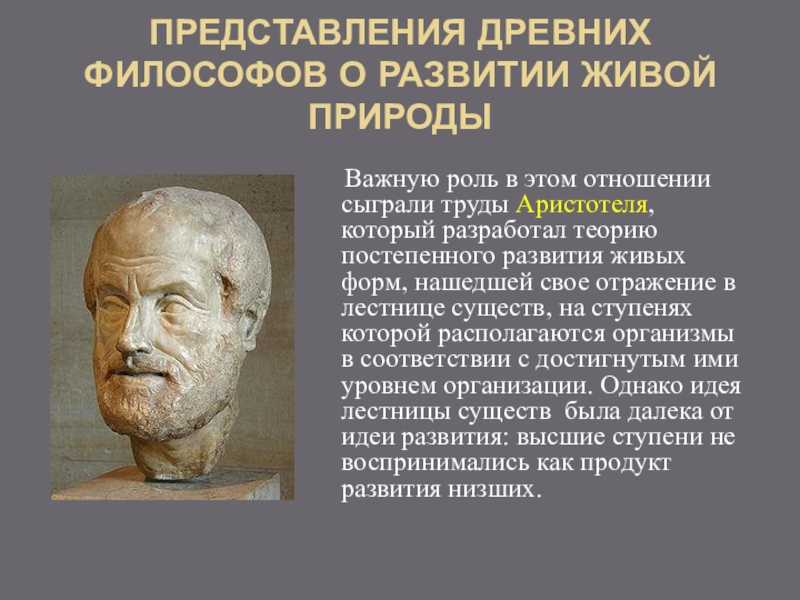 История возникновения и развития эволюционных идей. Эволюционное учение Аристотеля. Эволюционное представление Аристотеля. Аристотель эволюционные идеи. Эволюционная теория Аристотеля.