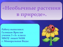 Проект  необычные растения