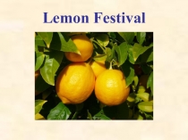 Презентация Lemon Festival (Starlight 6)