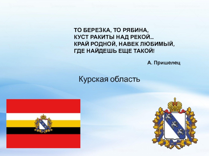 То березка то рябина. То берёзка то рябина куст Ракиты. Слова край родной навек любимый. Стих то Березка то рябина. Березка то рябина куст Ракиты над рекой край родной навек любимый где.