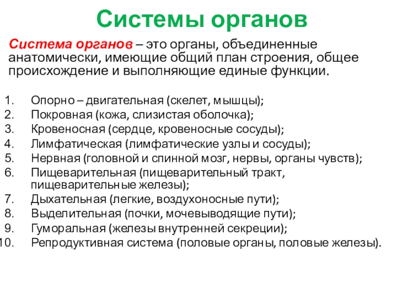 Органы имеющие единое происхождение общий план строения но выполняющие разные функции называются