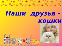 Презентация к занятию Наши любимцы-кошки