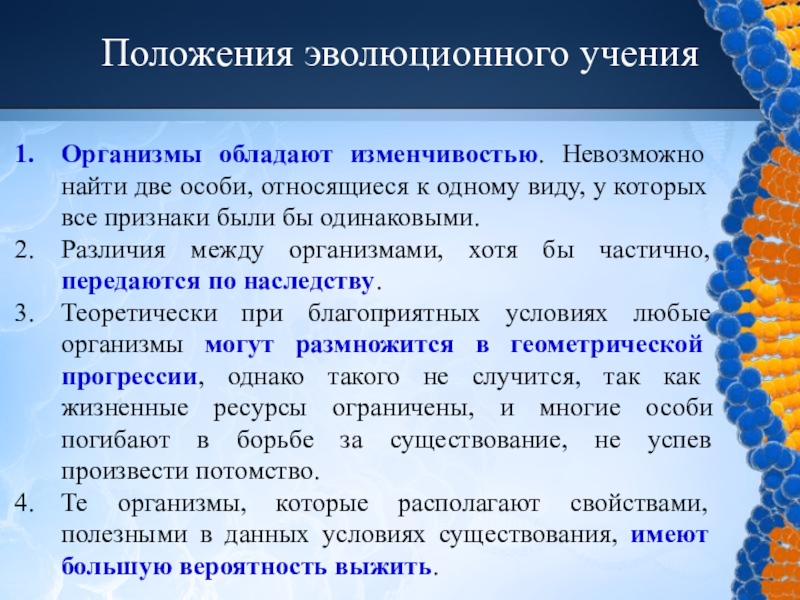 Презентация на тему органический мир как результат эволюции