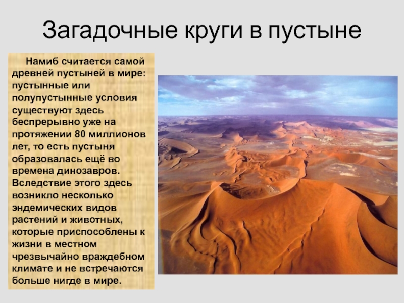 Кругом было пустынно. Климат пустыни Намиб. Пустыня Намиб краткое сообщение. Сообщение о пустыне Намиб. Сообщение на тему пустыня Намиб.