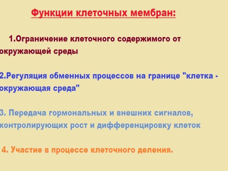 Функции мембраны. Функции клеточной мембраны в клетке. Механическая функция мембраны. Значение и функции клеточной мембраны. Электрическая функция мембраны.