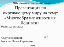 Презентация по окружающему миру Многообразие животных. Ленивец.