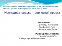 Презентация творческого проекта по технологии.