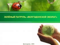 Презентация в рамках проекта:  Сделаем вместе