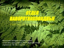 Презентация по биологии  пАРОРОТНИКОВИДНЫЕ