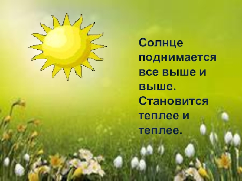 Становится тепло. Весной солнце поднимается выше. Солнце поднимается. Солнце поднялось высоко. Солнце поднимается, поднимается..