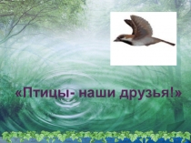 Птицы - наши друзья
