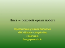 Презентация Лист - боковой орган побега