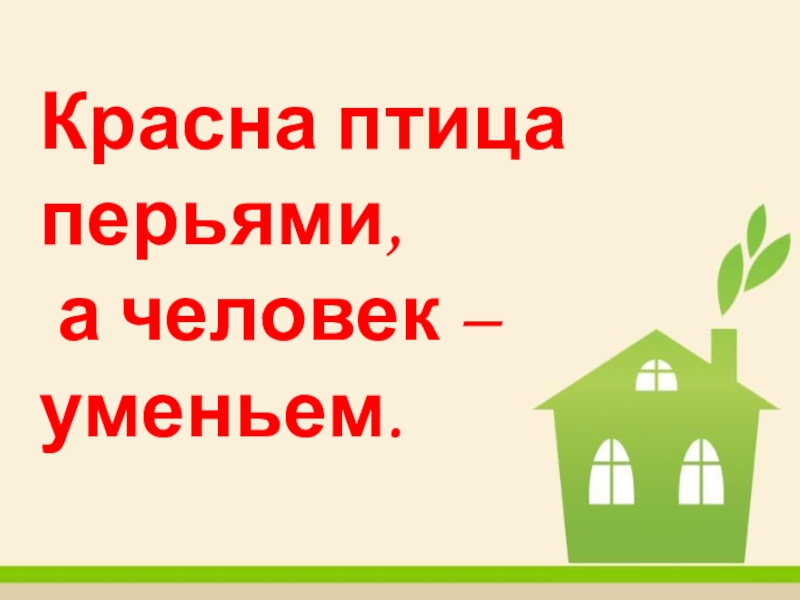 Красная птица перьям а человек учением. Красна птица перьями а человек уменьем. Красна птица пером а человек умом.