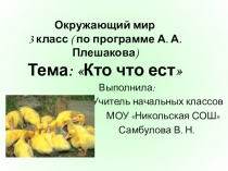 Презентация по окружающему миру Кто что ест