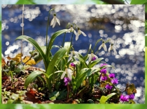 Экологическое воспитание презентация на тему времена года.Весна.