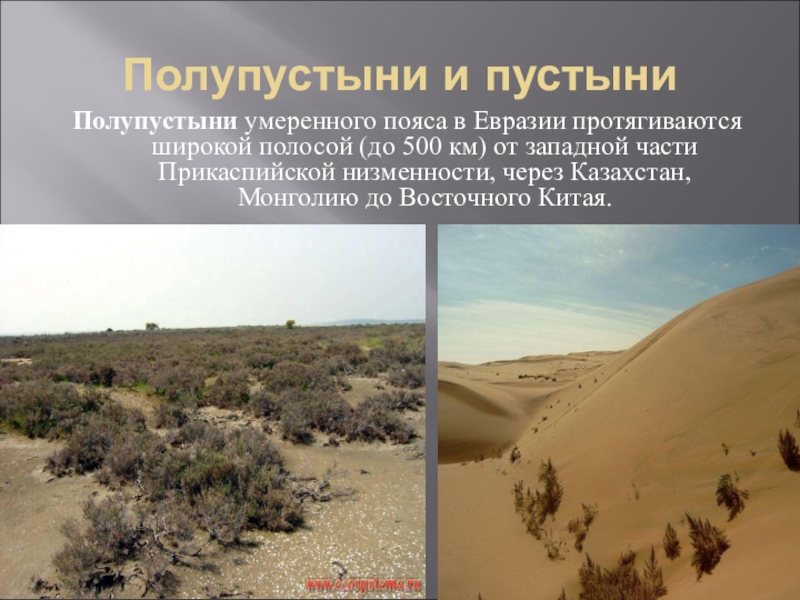Полупустыни и пустыниПолупустыни умеренного пояса в Евразии протягиваются широкой полосой (до 500 км) от западной части Прикаспийской