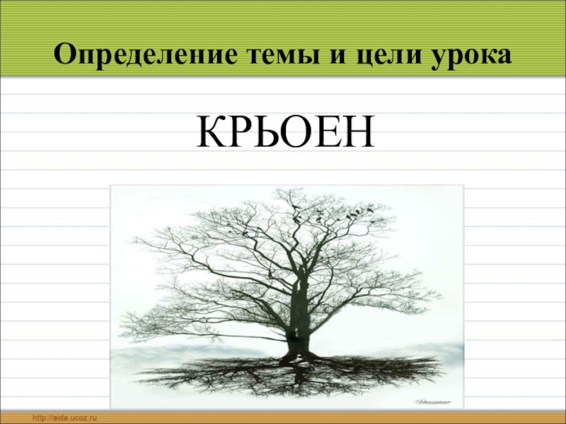 Тема определение. Тема определение 3 класс. Самое длинный корень в слове.